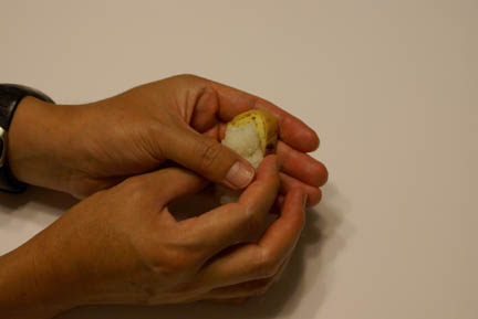 Egg in hand 3